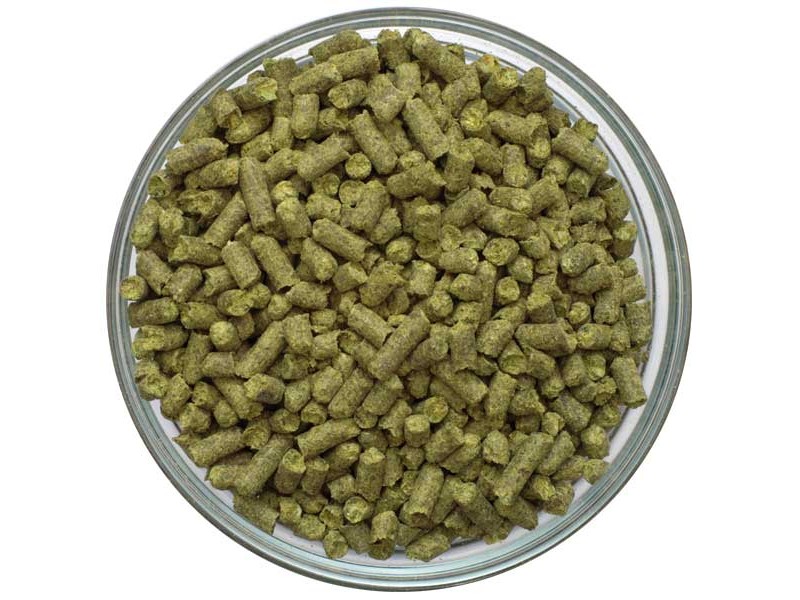 UK Kent Goldings Pellet Hops